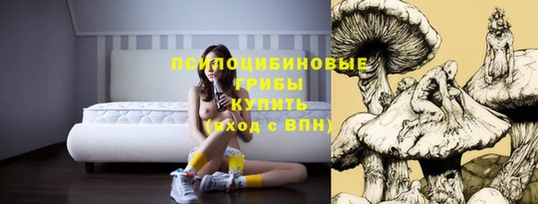 MDMA Premium VHQ Новодвинск
