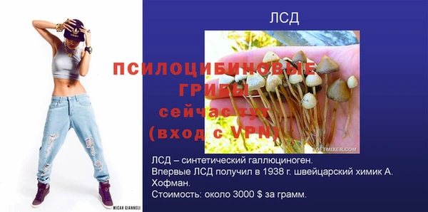 MDMA Premium VHQ Новодвинск