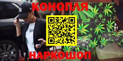 сатива Донецк
