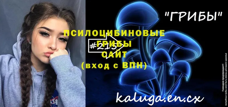 Галлюциногенные грибы ЛСД  Кимры 