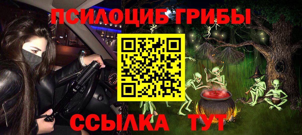 Псилоцибиновые грибы Magic Shrooms  Галлюциногенные грибы Psilocybe  Кимры 