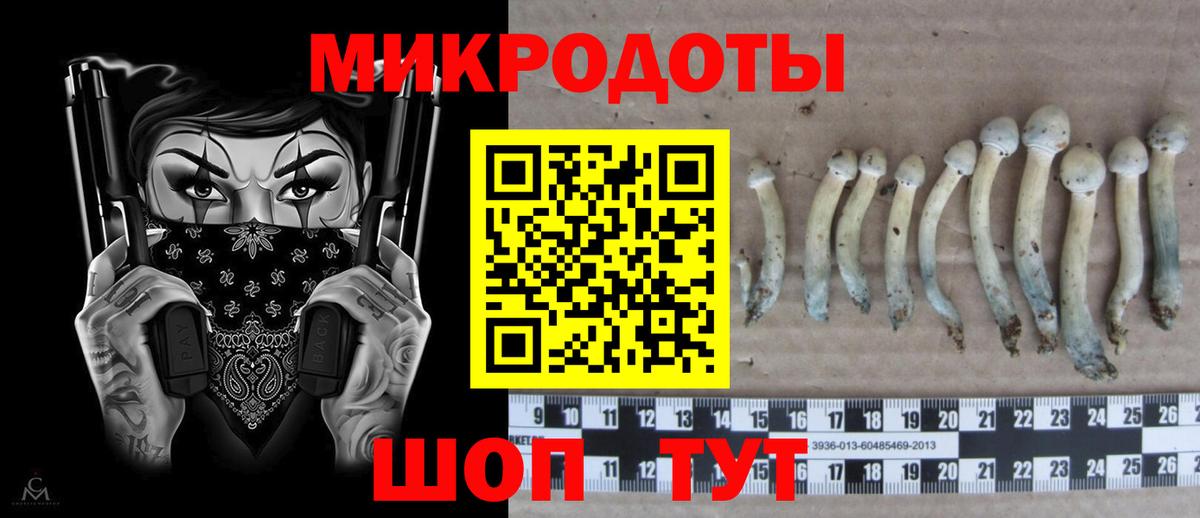 Псилоцибиновые грибы Magic Shrooms Кимры